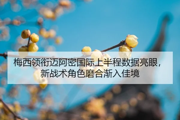mei-xi-ling-xian-mai-a-mi-guo-ji-shang-ban-cheng-shu-ju-liang-yan-xin-zhan-shu-jue-se-mo-he-jian-ru-jia-jing-2-490.jpg