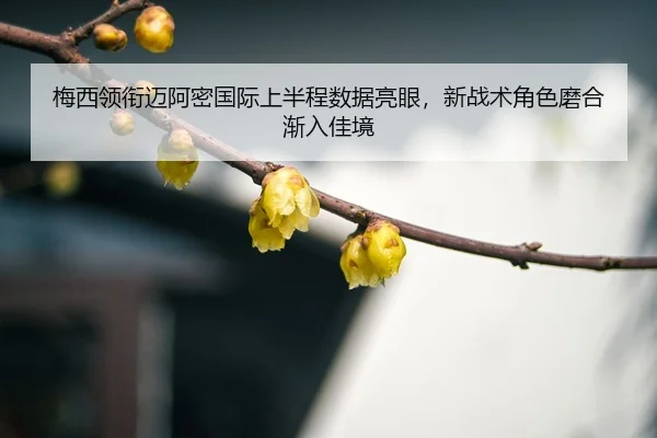mei-xi-ling-xian-mai-a-mi-guo-ji-shang-ban-cheng-shu-ju-liang-yan-xin-zhan-shu-jue-se-mo-he-jian-ru-jia-jing-3-795.jpg