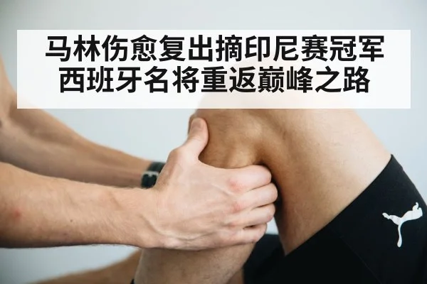 马林伤愈复出摘印尼赛冠军西班牙名将重返巅峰之路