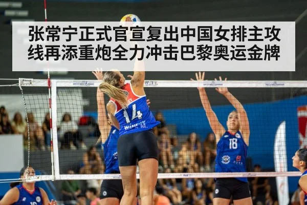 volleyball match