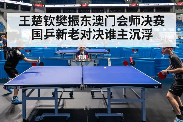 王楚钦樊振东澳门会师决赛 国乒新老对决谁主沉浮