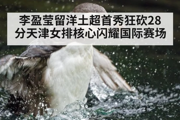 李盈莹留洋土超首秀狂砍28分天津女排核心闪耀国际赛场